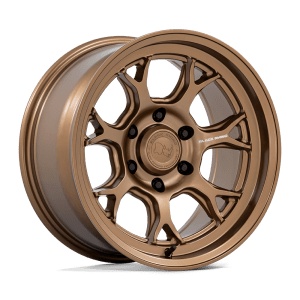 ETOSHA 17X8.5 6X135 87 +20 M-BRNZ